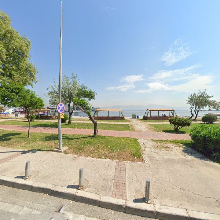 Fotoğraf 8