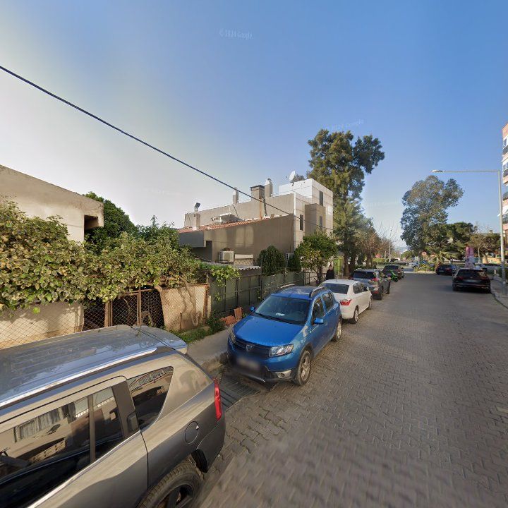 Fotoğraf 11
