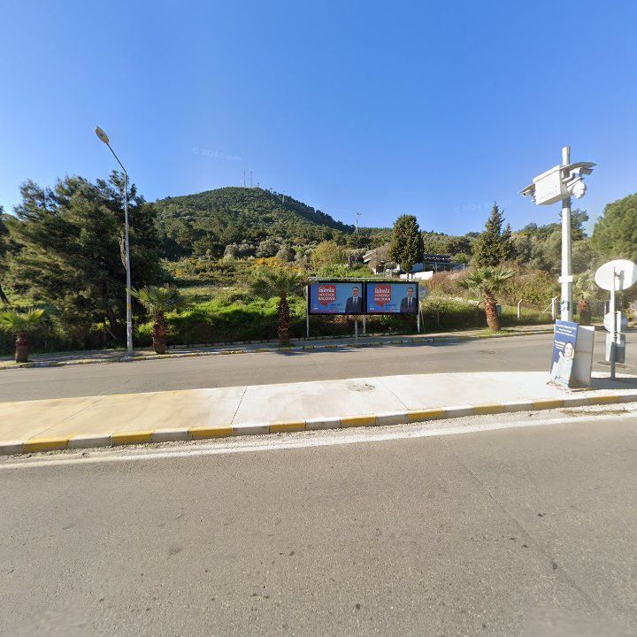 Fotoğraf 6