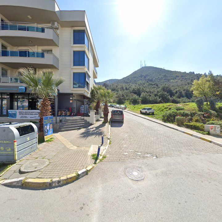 Fotoğraf 10