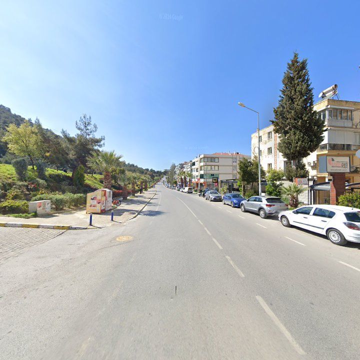 Fotoğraf 11