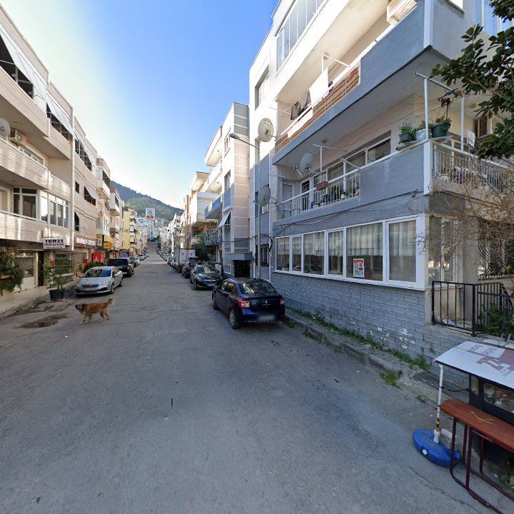 Fotoğraf 6
