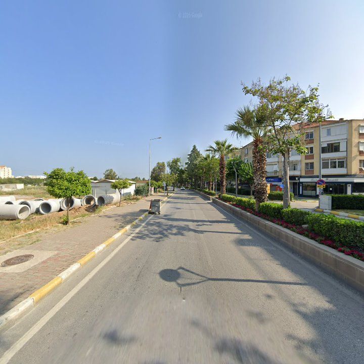 Fotoğraf 3