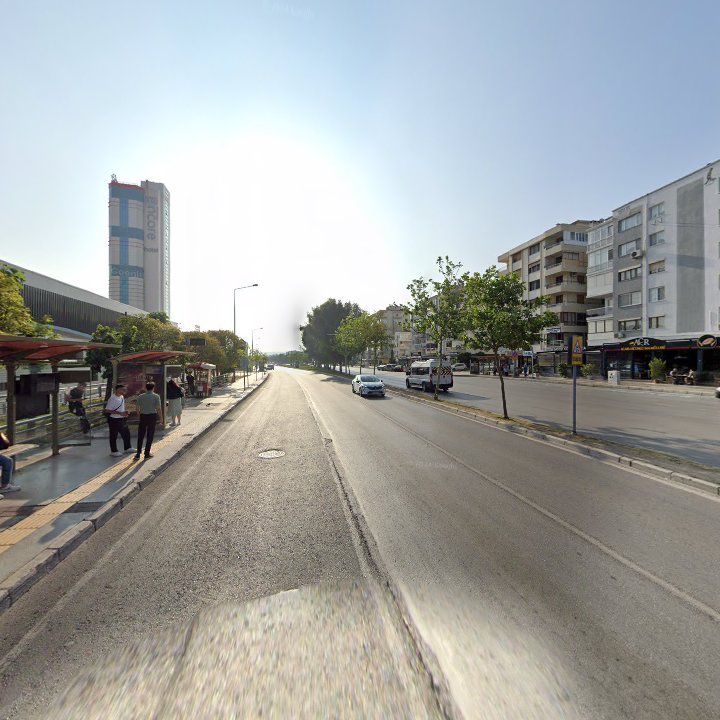 Fotoğraf 12
