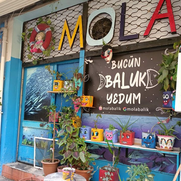 Mola balık