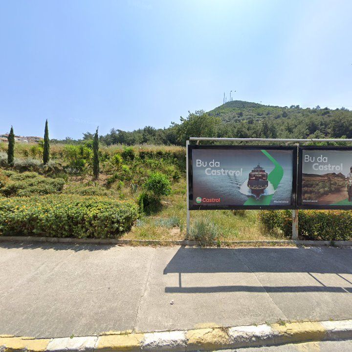 Fotoğraf 8