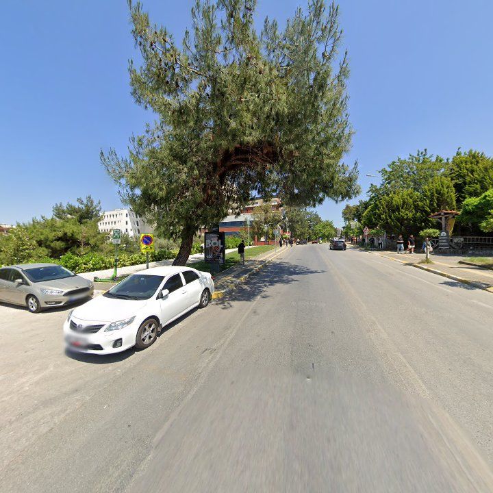 Fotoğraf 17
