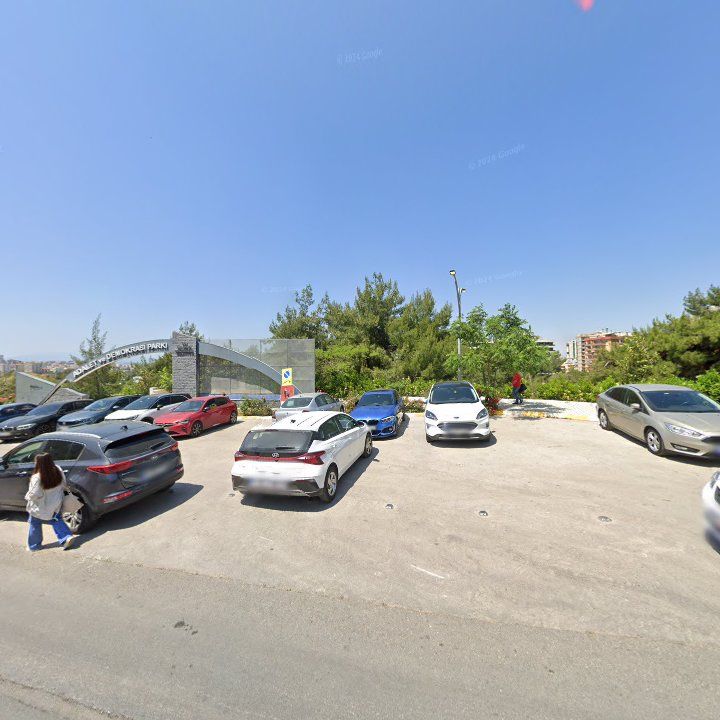 Fotoğraf 16