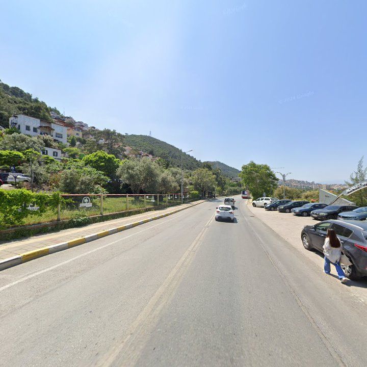 Fotoğraf 15
