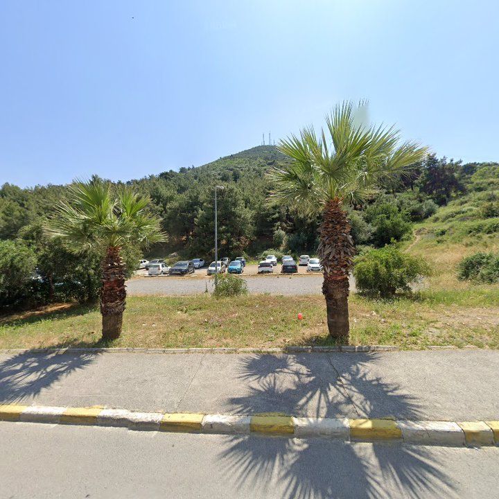 Fotoğraf 10