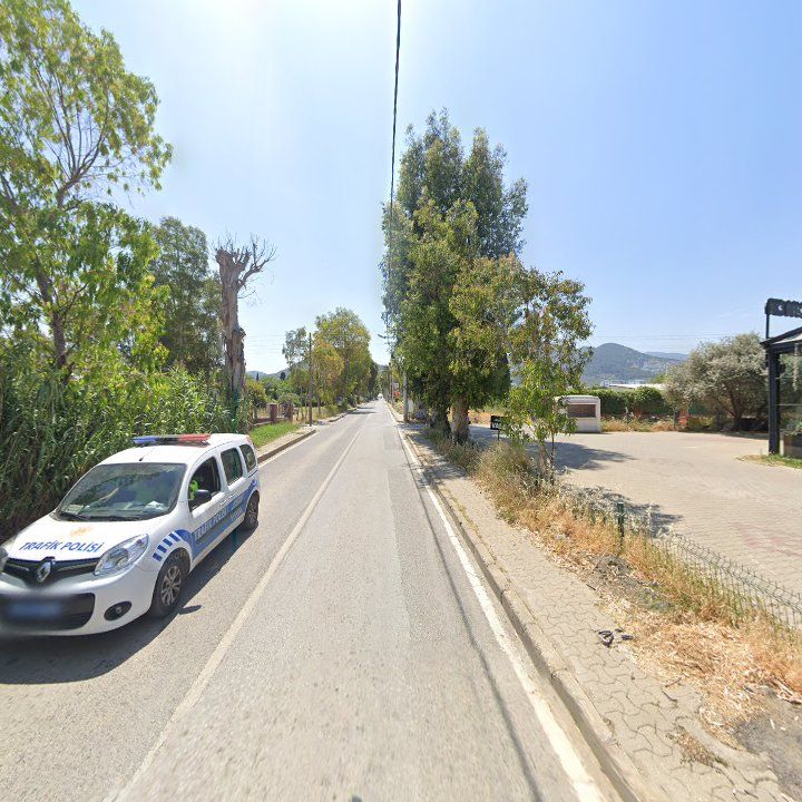 Fotoğraf 10