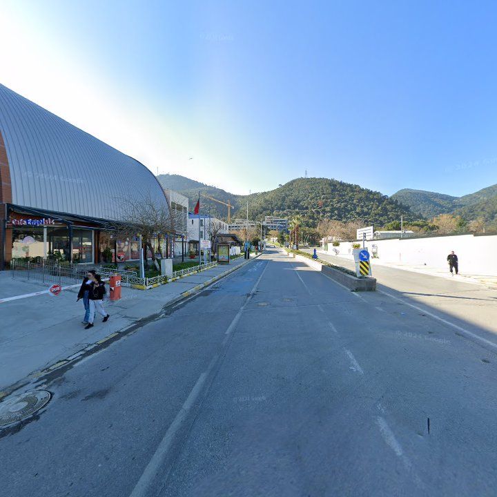 Fotoğraf 8