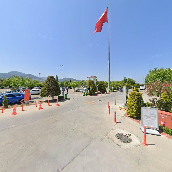 Fotoğraf 11