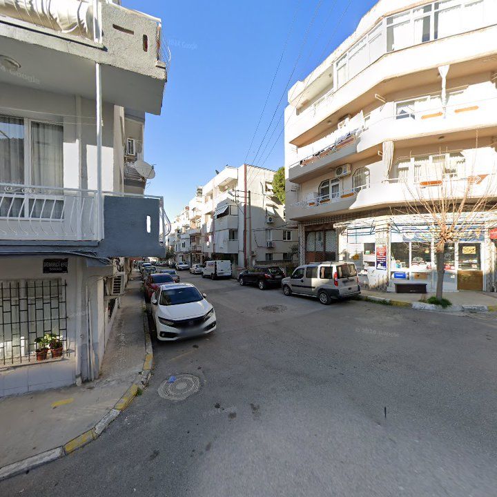 Fotoğraf 8