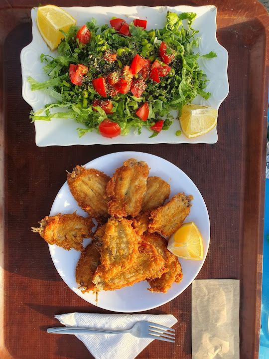 Şen Balık / Tahir Usta