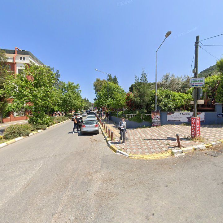Fotoğraf 10