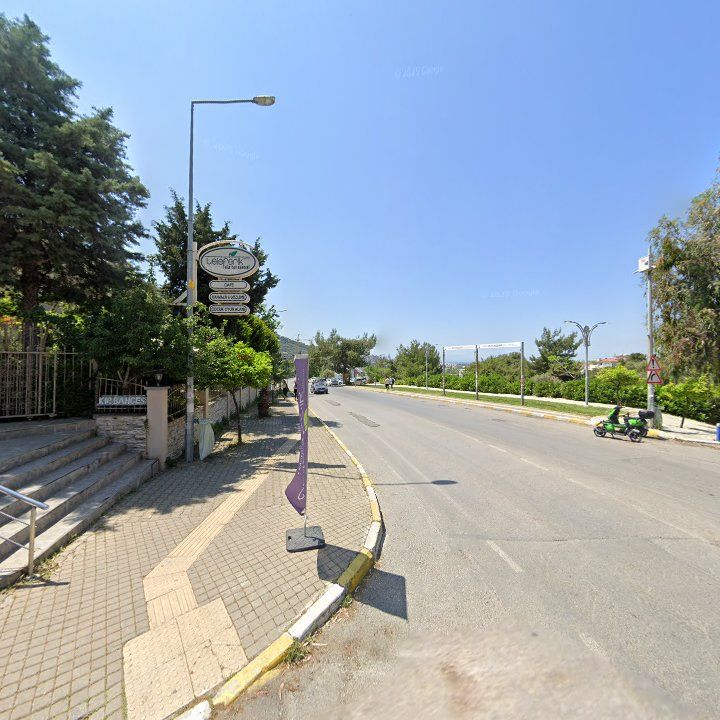 Fotoğraf 8