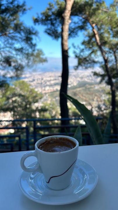 Fotoğraf 41