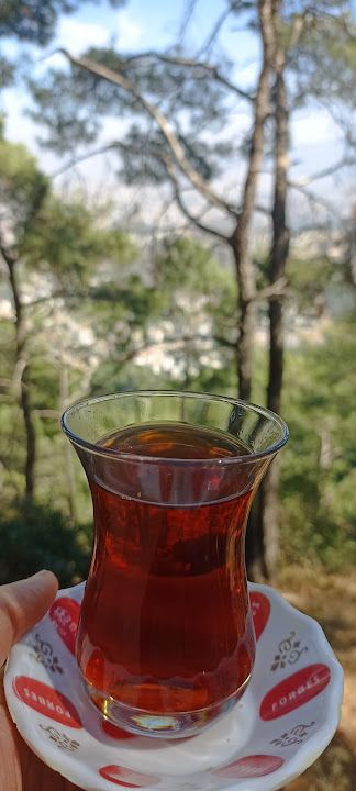 Fotoğraf 30