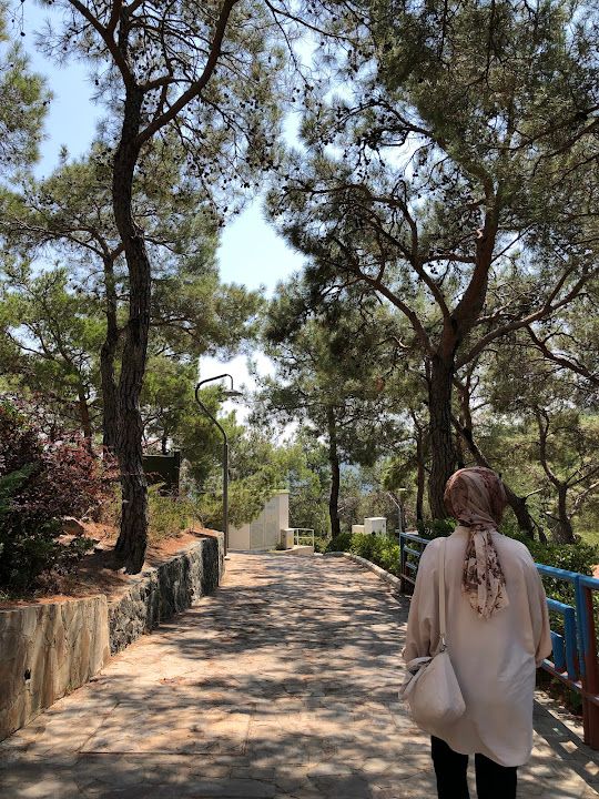 Yorum fotoğrafı 3
