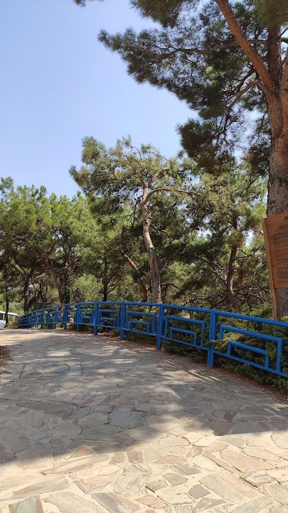 Yorum fotoğrafı 4