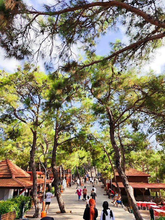 Yorum fotoğrafı 4