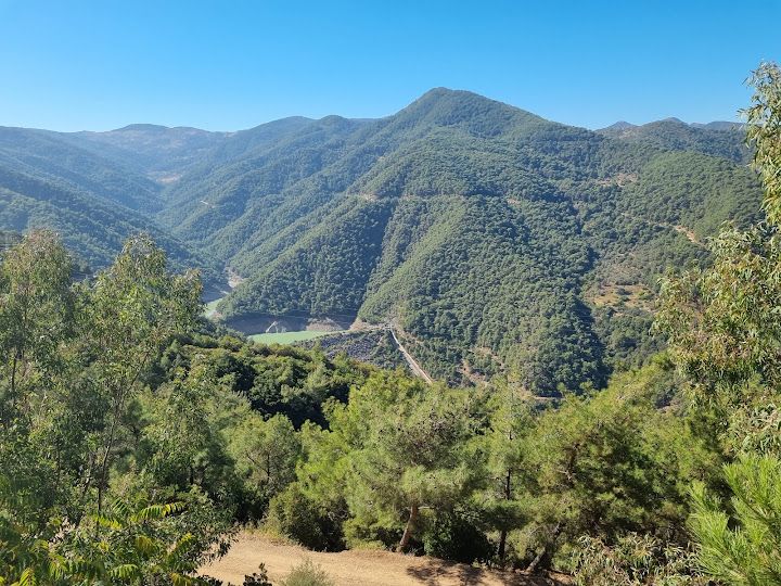 Yorum fotoğrafı 4