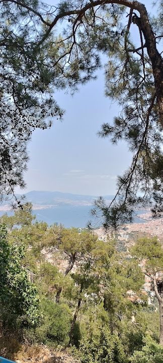 Yorum fotoğrafı 3