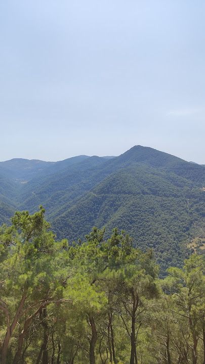 Yorum fotoğrafı 3