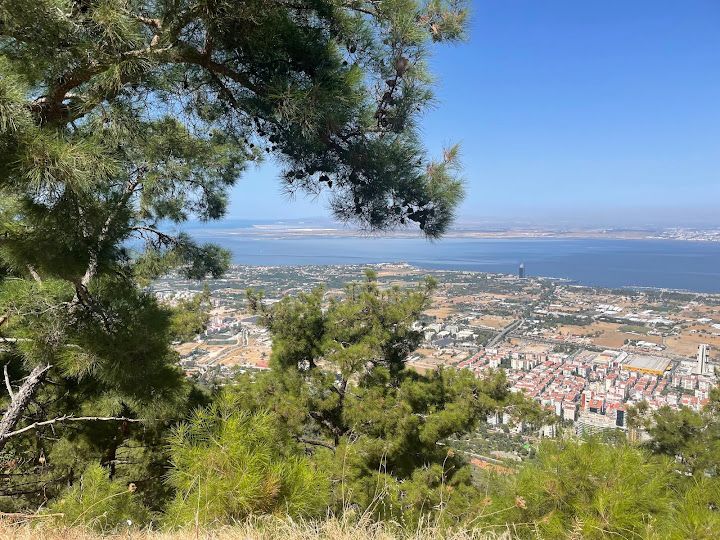 Fotoğraf 65
