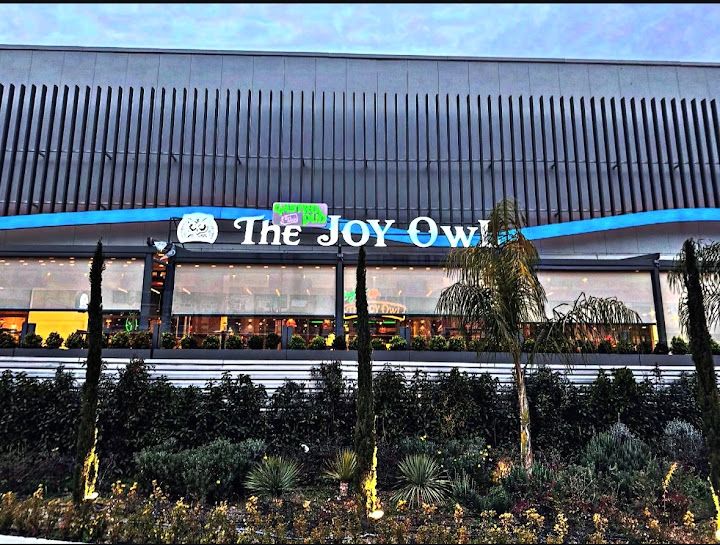 The joy owl