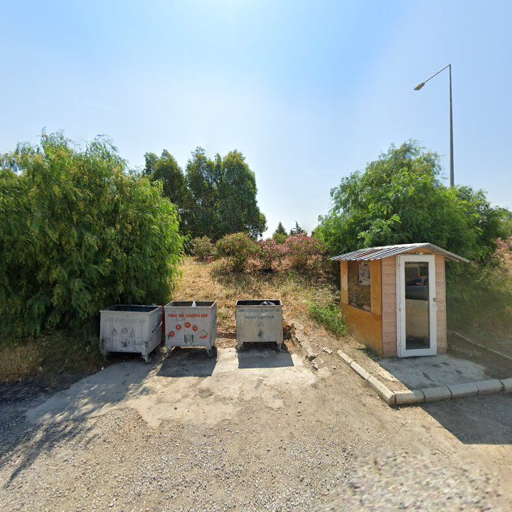 Fotoğraf 9