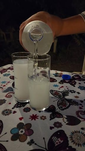 Fotoğraf 16