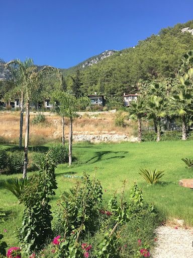 Yorum fotoğrafı 8