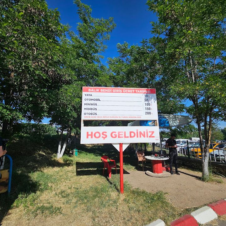 Fotoğraf 12