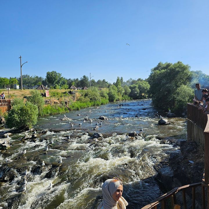 Fotoğraf 15