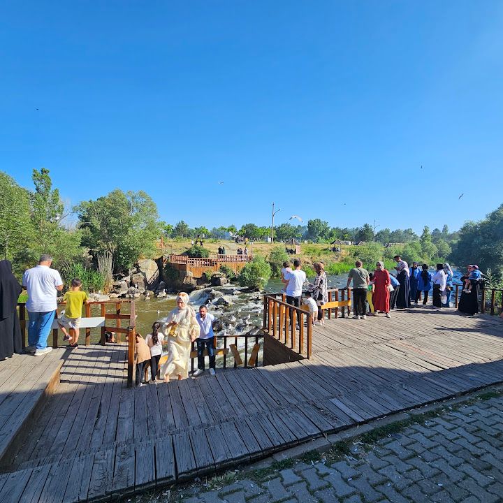 Fotoğraf 14