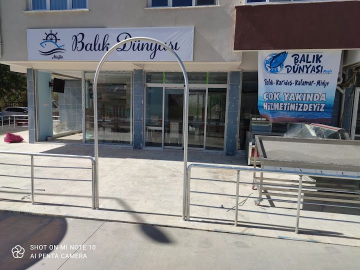 Fotoğraf 12