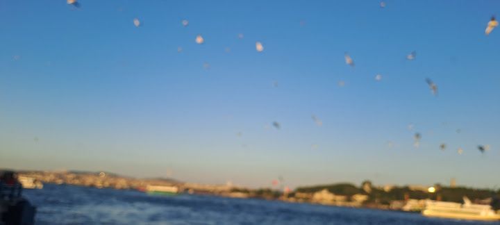 Fotoğraf 20