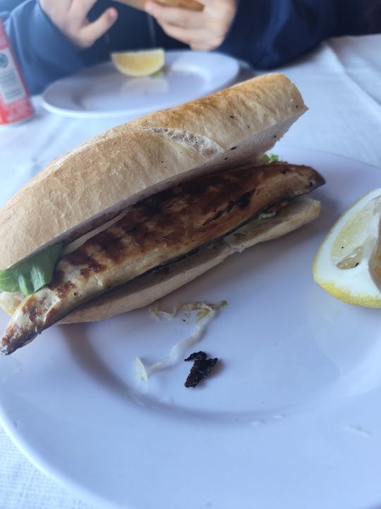 Fotoğraf 13