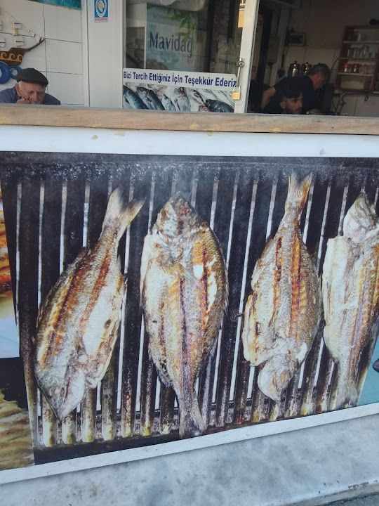 Fotoğraf 15