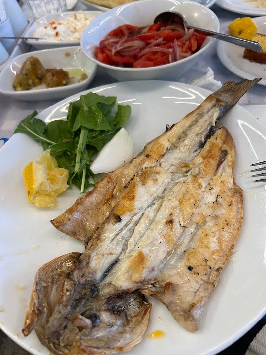 Fotoğraf 54