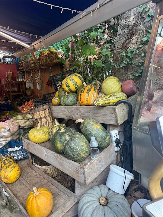 Fotoğraf 32