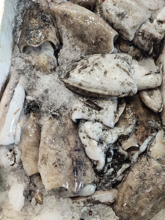 Fotoğraf 13