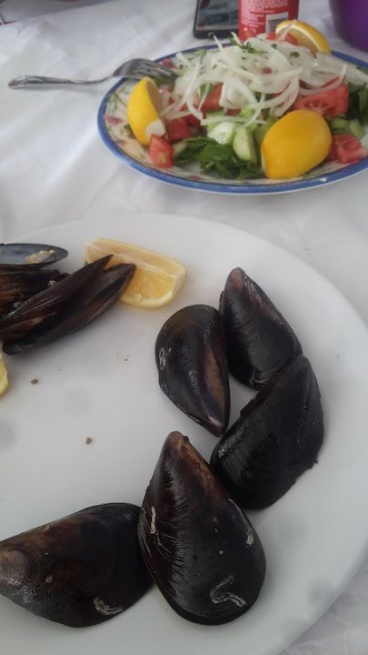 Fotoğraf 21