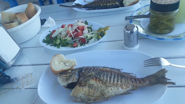 Fotoğraf 23