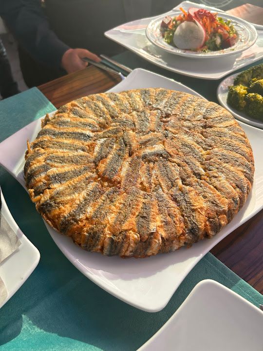 Fotoğraf 16
