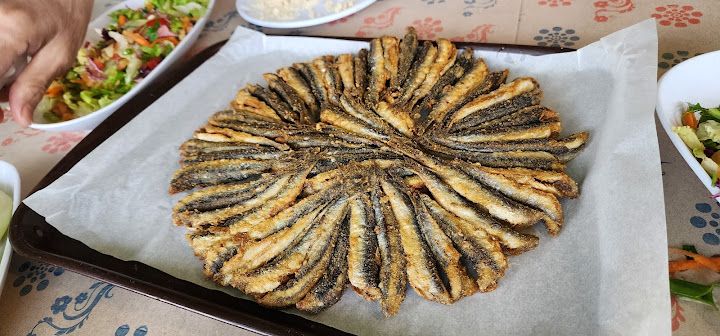 Fotoğraf 15