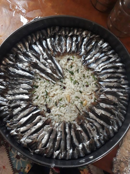 Fotoğraf 24