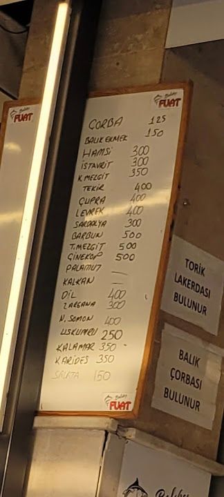 Fotoğraf 21